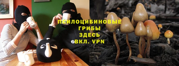марки nbome Каменка